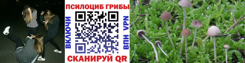 Галлюциногенные грибы мухоморы  Купить где  Электрогорск 